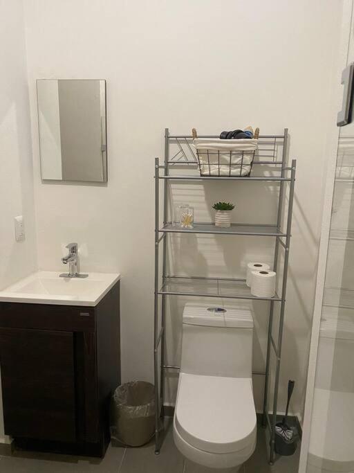 Condo In El Centro Near Malecon! Mazatlán Eksteriør bilde
